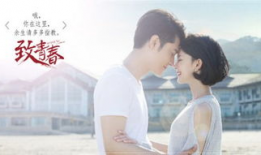 电视剧致青春剧情介绍,青春岁月里的爱情与成长