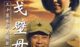 电视剧戈壁母亲,坚韧与爱的史诗