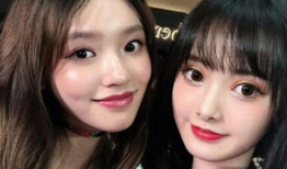 网红与明星的区别,数字时代下的身份差异解析